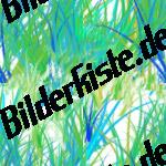 Righe blu