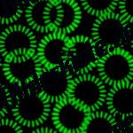 Cerchi verdi su fondo nero