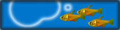 Bannerrohling: Fische