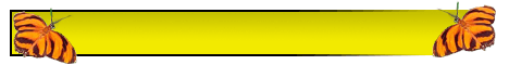 Bannerrohling Schmetterling gelb