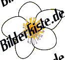 Blumen: Margerite 1 (nicht animiert)