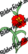 Blumen: Blte 1 - rot (nicht animiert)