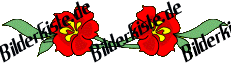 Blumen: Blte 1 - rot horizontal (nicht animiert)