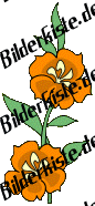Blumen: Blte 1  - orange (nicht animiert)