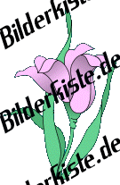 Blumen: Blte 2 - violet (nicht animiert)