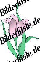 Blumen: Blte 2 - pink (nicht animiert)