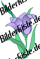 Blumen: Blte 2 - lila (nicht animiert)