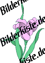 Blumen: Blte 2 - violet (gespiegelt)  (nicht animiert)