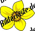Blumen: Osterglocke 1 (nicht animiert)