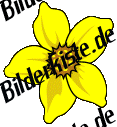 Blumen: Osterglocke 2 (nicht animiert)