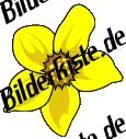 Blumen: Osterglocke 3 (nicht animiert)