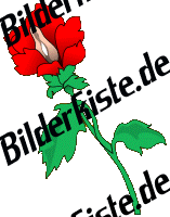 Blumen: Blume 5 - rot (nicht animiert)