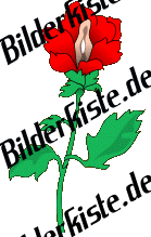 Blumen: Blume 5 - rot (gespiegelt) (nicht animiert)