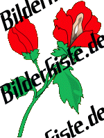 Blumen: Blume 5 - rot 2 (nicht animiert) 