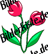 Blumen: Tulpen - zwei rot (nicht animiert)