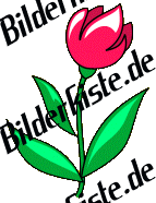 Blumen: Tulpen - rot (nicht animiert)