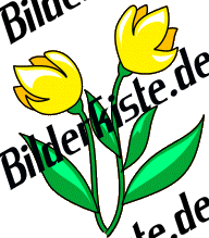 Blumen: Tulpen - zwei gelb (nicht animiert)