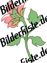 Blumen: Blte 2 - rosa 1 (nicht animiert)