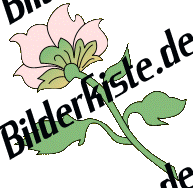 Blumen: Blte 2 - rosa 3 (nicht animiert)