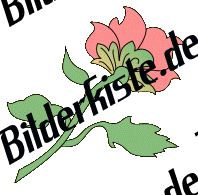 Blumen: Blte 2 - rosa 4 (nicht animiert)