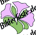 Blumen: Blte 3 - violet (nicht animiert)