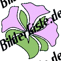Flowers: Flower 3 - violet (not animated)