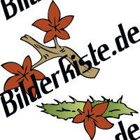 Herbst: Bltter - Am Ast