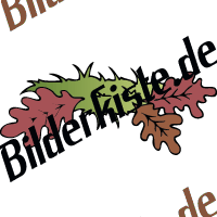 Herbst: Bltter - liegen am Boden