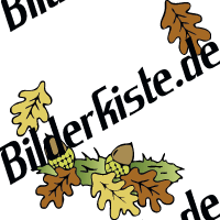 Herbst: Eicheln - am Boden