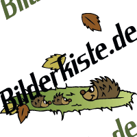 igel am boden