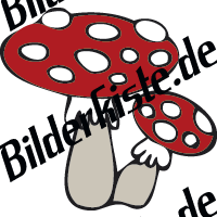 Fliegenpilze