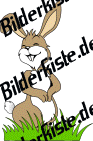 Ostern: Hase - schnuppert 5 (nicht animiert)