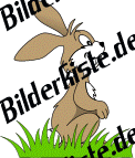 Ostern: Hase - sitzt 3 (nicht animiert)