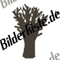 Herbst: Bume - Baum wiegt sich im Wind (animiertes GIF)
