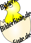 Chicken: In a broke open egg (white) 1 (not animated)
