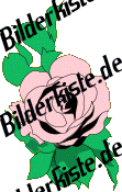 Flowers: Rose - pink (not animated)