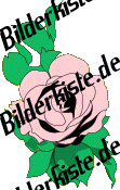 Blumen: Rose - rosa (nicht animiert)