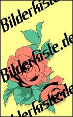 Blumen: Rosen - rot (nicht animiert)