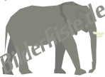 Tiere: Elfanten - einzelner Elefant (nicht animiert)