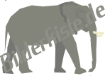 Elefante solitario