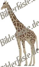 Tiere: Giraffen - Giraffe (nicht animiert)