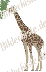 Tiere: Giraffen - Giraffe it (nicht animiert)