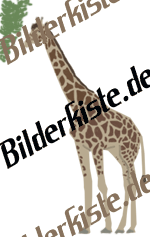 Tiere: Giraffen - Giraffe it (animiertes GIF)