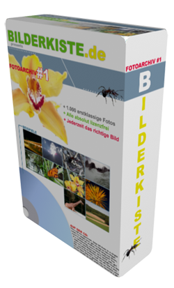 Bilderkiste Foto-DVD Volume 1 Bilderkiste Foto-DVD Volume 1