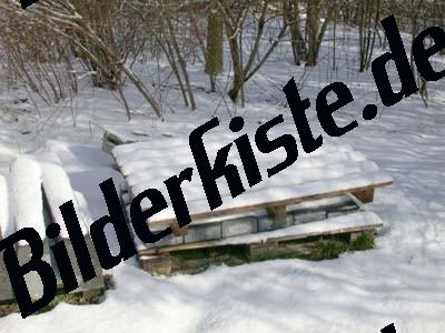 Pallets covered with snow
