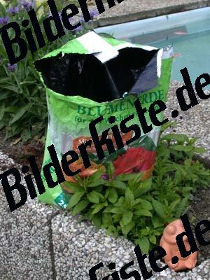 Blumenerde im Blumenbeet