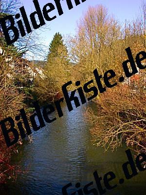 Fluss mit Baeumen