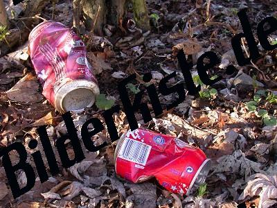 Cans on foliage