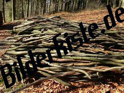 Pile of wood and trunks