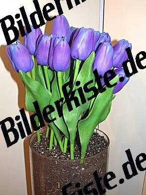 Tulpen kuenstlich